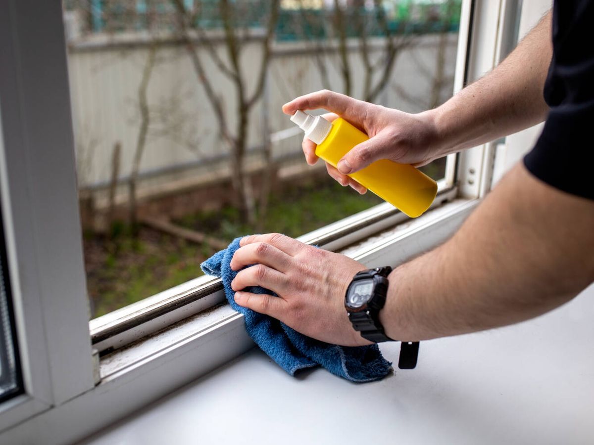 Foto: Cómo eliminar el moho y la humedad alrededor de las ventanas con este truco (Freepik)