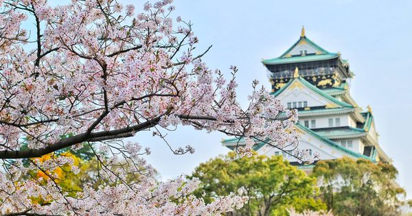 Foto: Japón es uno de los destinos favoritos de los viajeros (Foto:Pexels)
