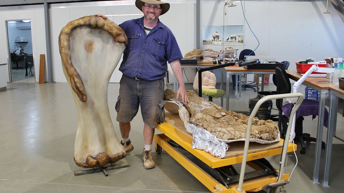 Científicos determinan que el Cooperensis es el dinosaurio más grande de Australia
