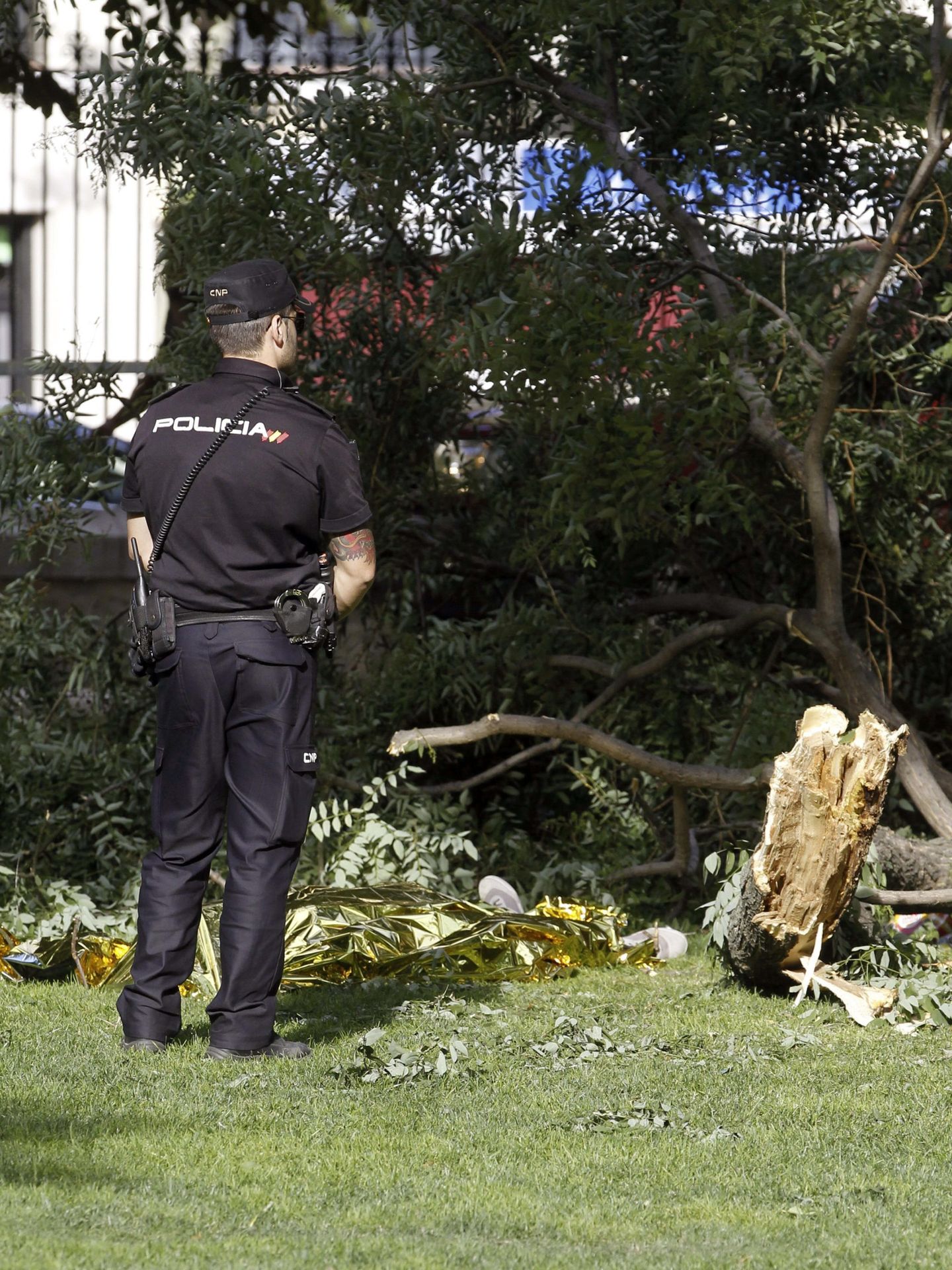 Un agente de Policía ante uno de los árboles caídos. (EFE)