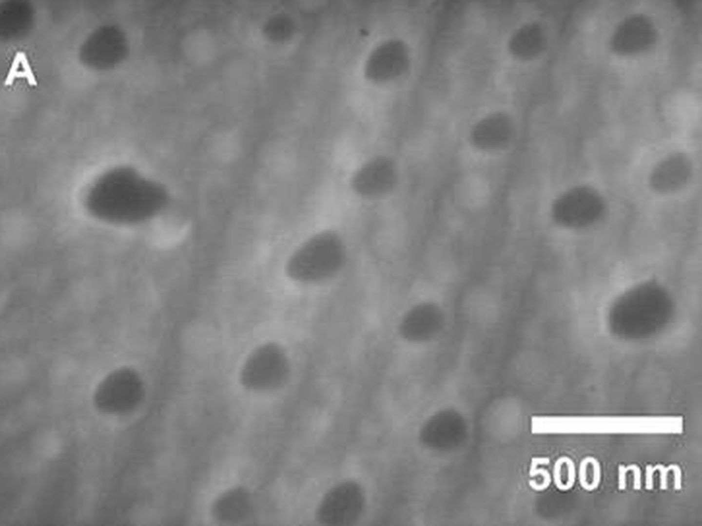 Nanopartículas de aluminio en una matriz de galio. (UCSC)