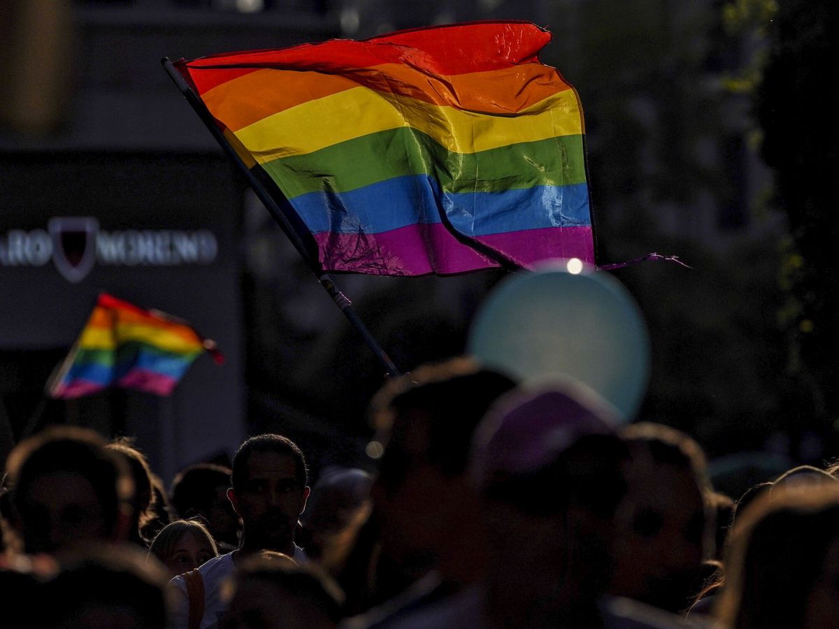 Foto: Bandera LGTBI en una manifestación. (EFE/Nacho Gallego)