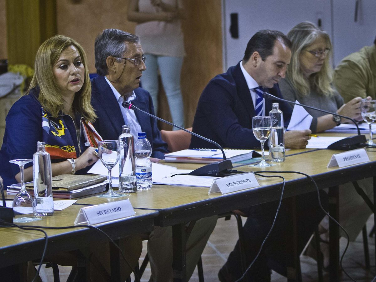 Foto: Miguel Delibes de Castro, en el centro, en una reunión del Consejo de Participación de Doñana. (EFE / Julián Pérez)