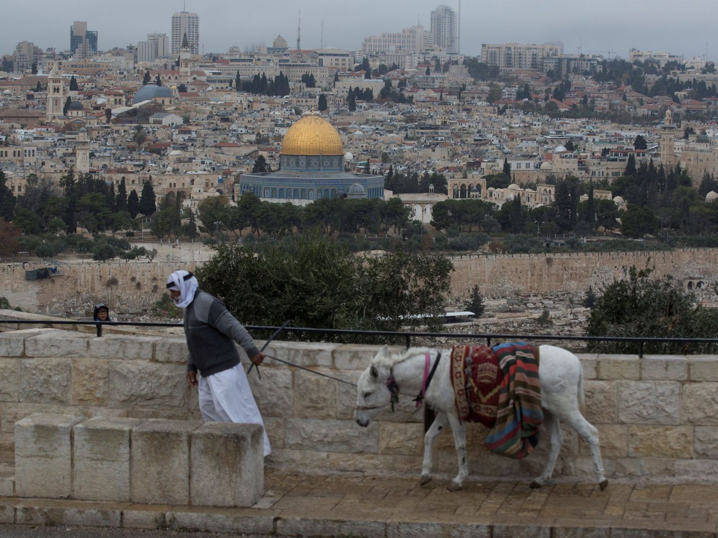 Un palestino tira de su burro mientras camina por el Monte del los Olivos, en Jerusalén Este (EFE)