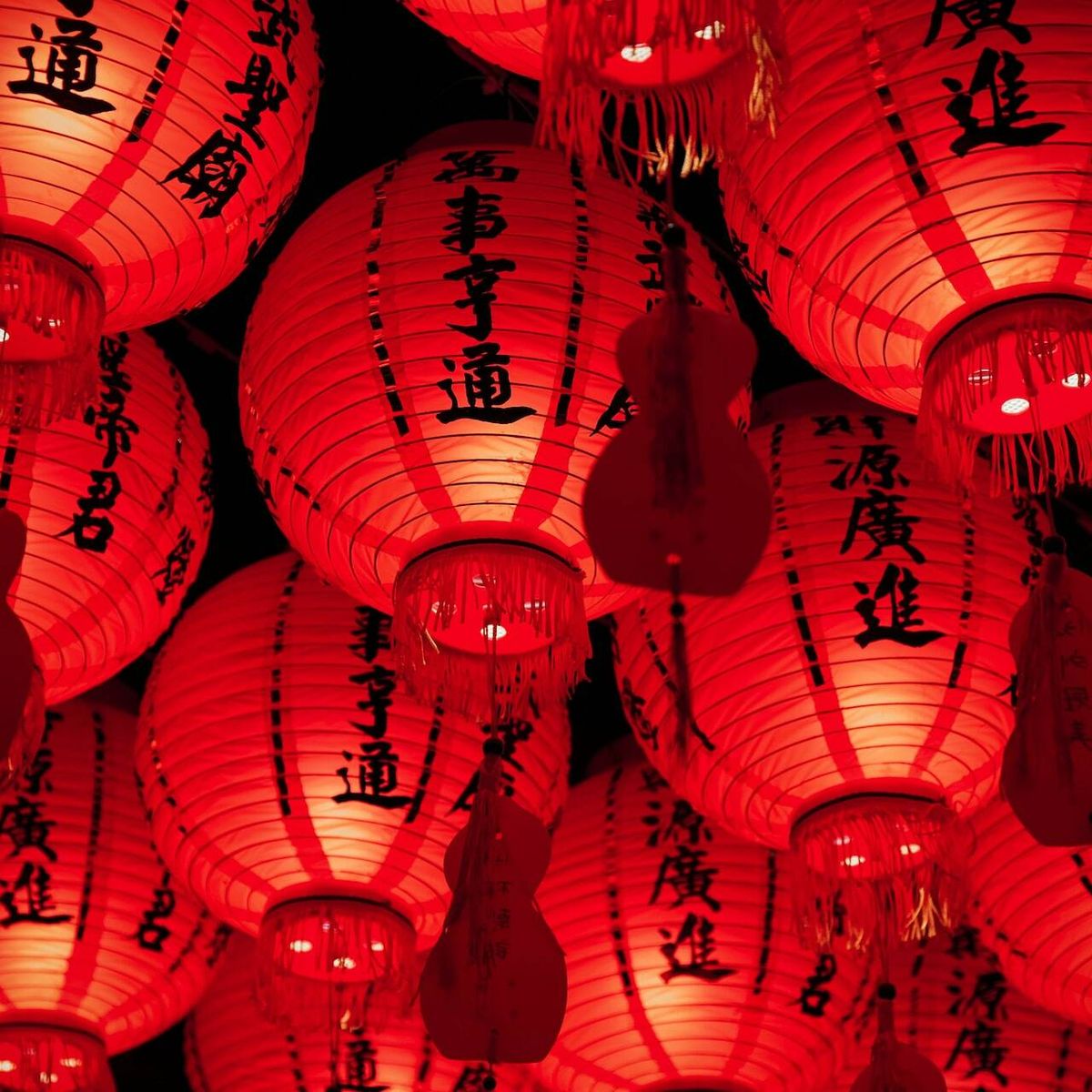 Año Nuevo Chino: ¿Qué animal es el 2023 en el calendario chino?