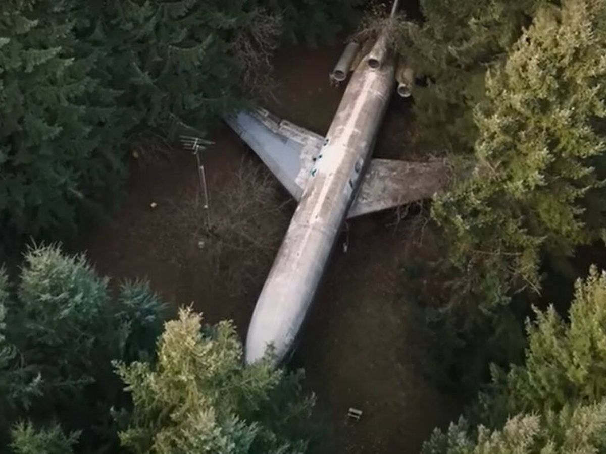 Foto: Avión en el bosque | CNBC