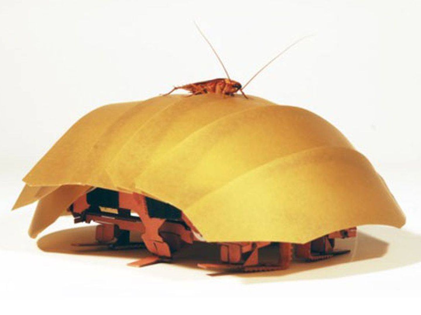 Cucaracha robótica CRAM diseñada por la Universidad de California Berkeley en 2016. (UC)