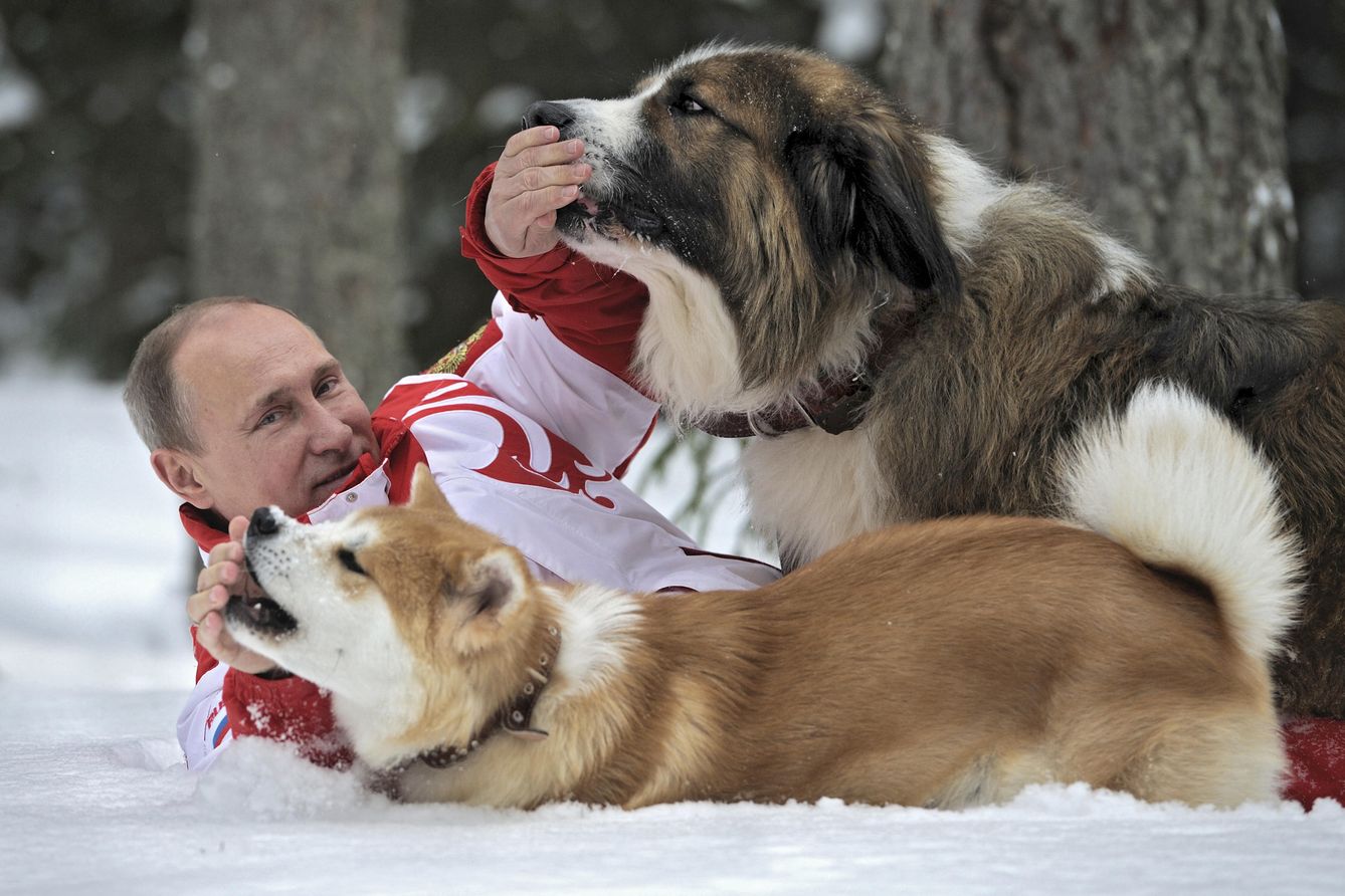 Putin con Buffy y Yume (Reuters)