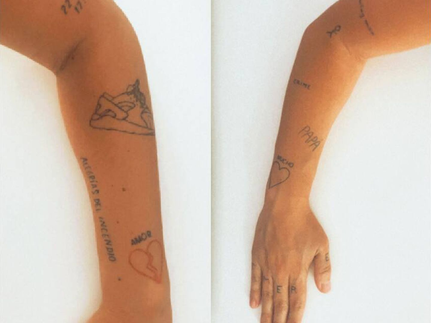 Tatuajes de los brazos de Isabel Pericet.