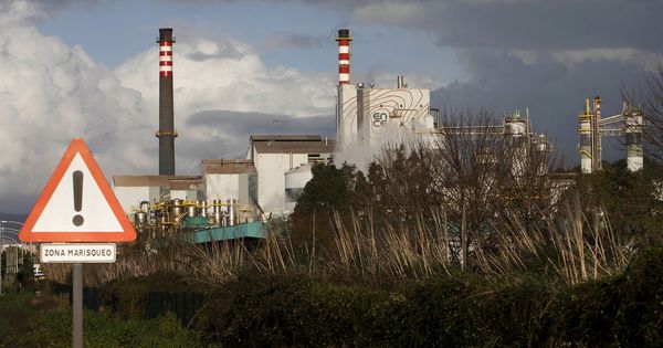 Foto: La fábrica de Ence en Pontevedra. (EFE)