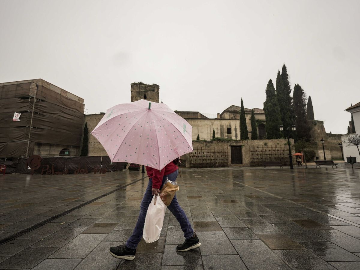 Foto: Imagen de lluvias caídas en Córdoba el pasado mes de marzo. (EFE/Rafa Alcaide)