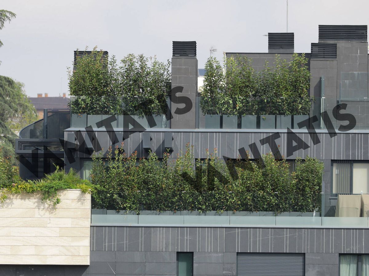 Foto: Fotografía del balcón del ático de Tamara Falcó repleto de plantas. (Clipper)