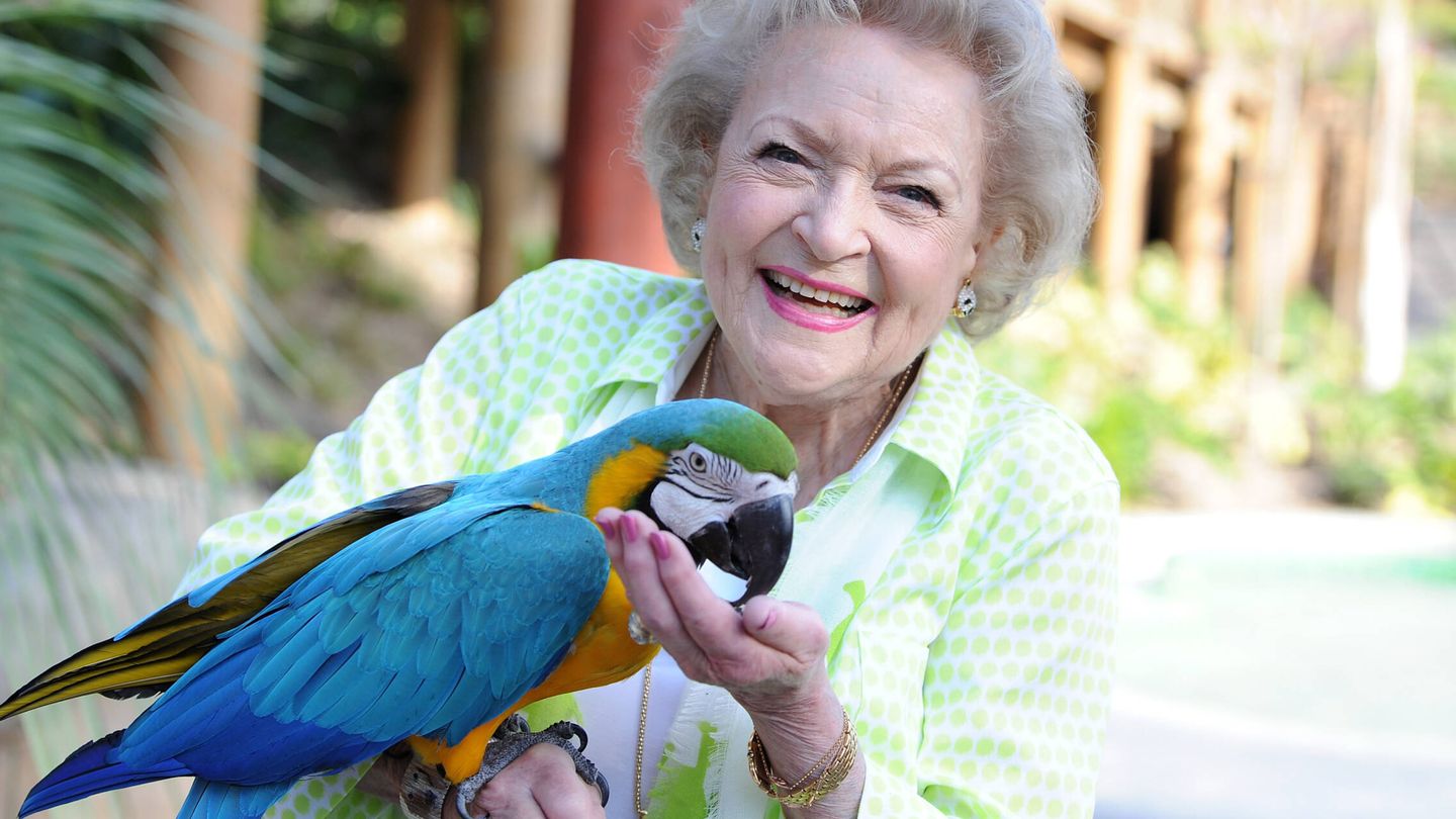 Betty White era una gran amante de los animales. (Getty/Angela Weiss)