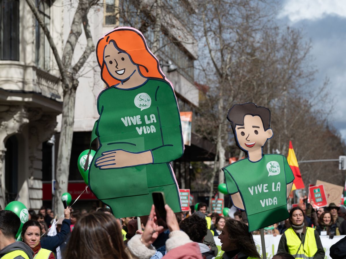 Foto: 'Marcha por la Vida' contra el aborto y la eutanasia. (EFE/Archivo/Fernando Villar)