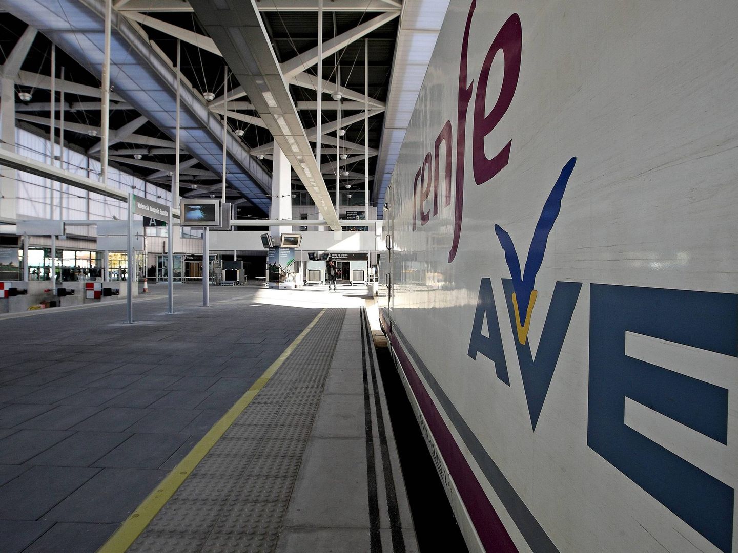 Trenes de AVE en la estación Joaquín Sorolla. (EFE)