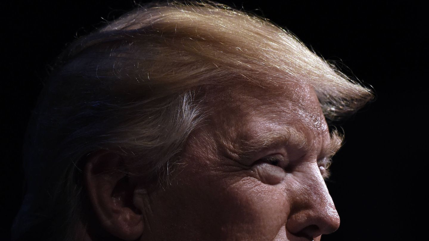 Imagen detalle de la cabellera de Donald Trump. (Gtres)