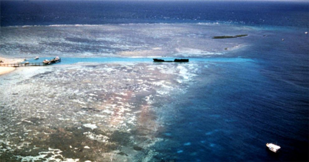 Foto: La Gran Barrera de Coral se convierte en una ‘autopista ilegal’ de mercancías peligrosas