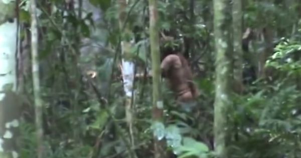 Foto: El indígena del Amazonas al que han grabado en vídeo