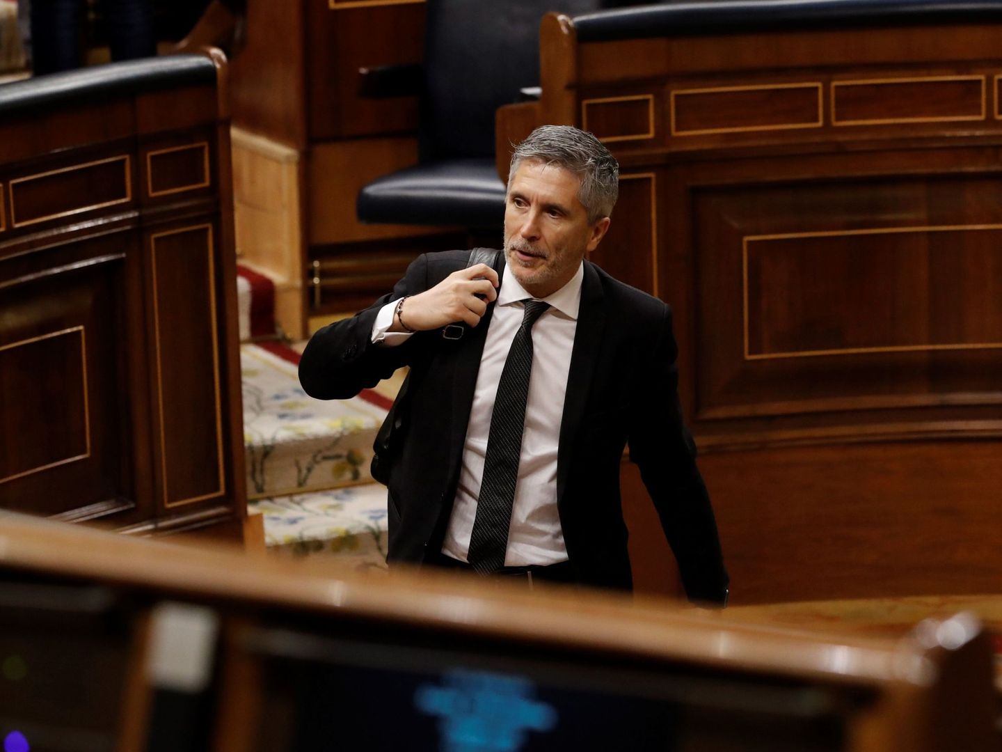 El ministro del Interior, Fernando Grande-Marlaska, en el Congreso de los Diputados. (EFE)