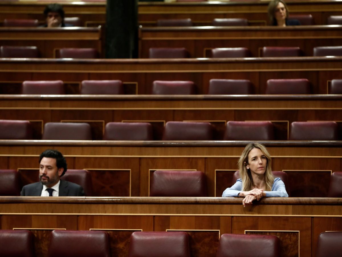 Foto: La portavoz del Partido Popular en el Congreso, Cayetana Álvarez de Toledo (d), asiste al pleno celebrado este miércoles en el Congreso de los Diputados. (EFE)