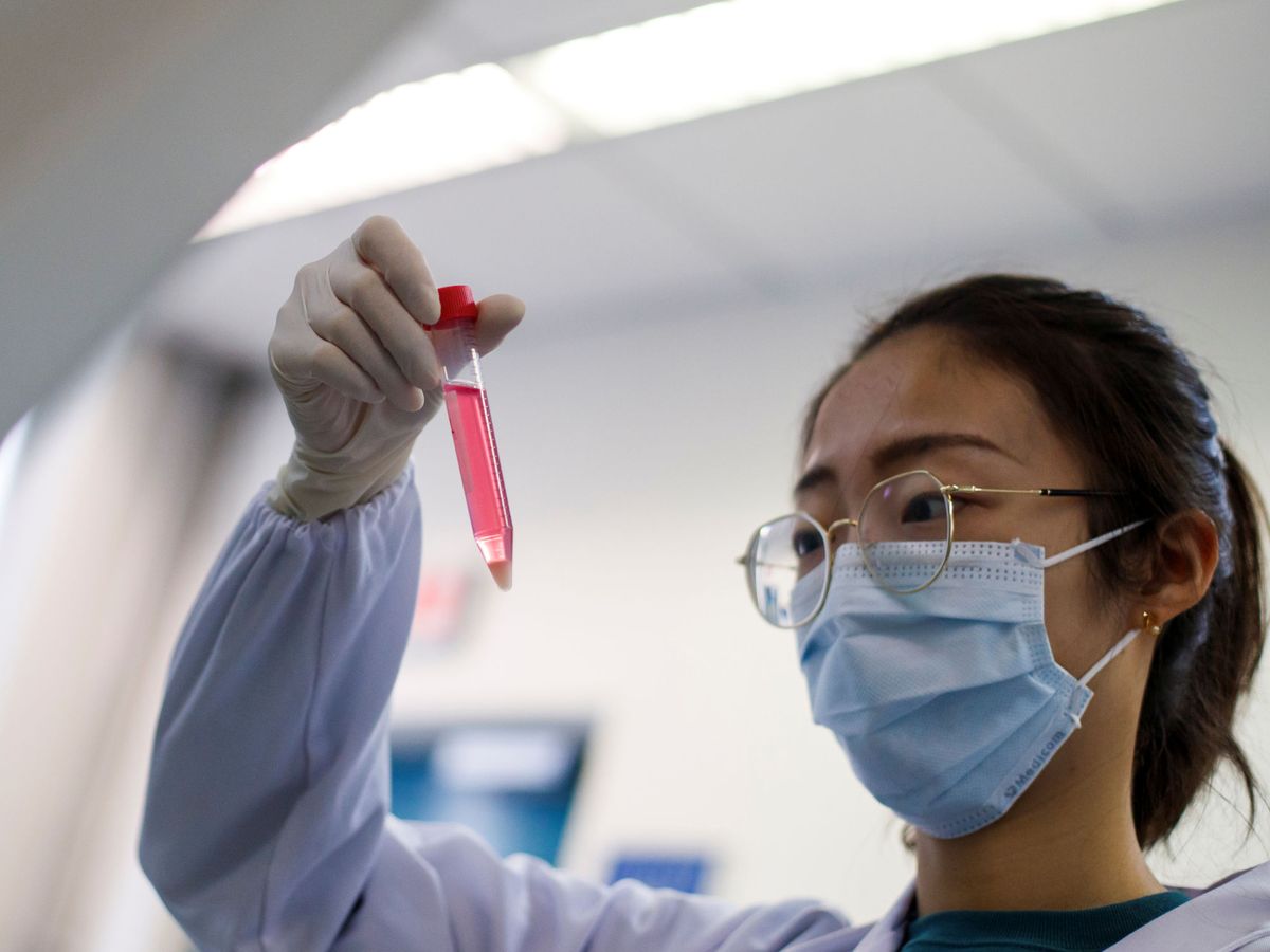 Foto: Una científica china trabaja en un laboratorio investigando el nuevo coronavirus. (Reuters)