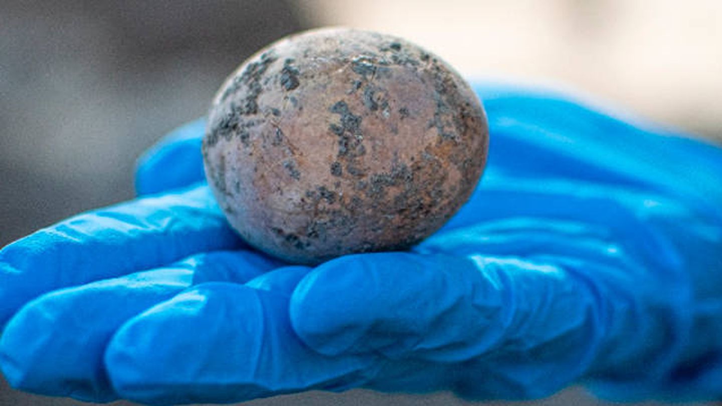 El huevo conserva casi toda su yema en el interior. (Autoridad de Antigüedades de Israel)