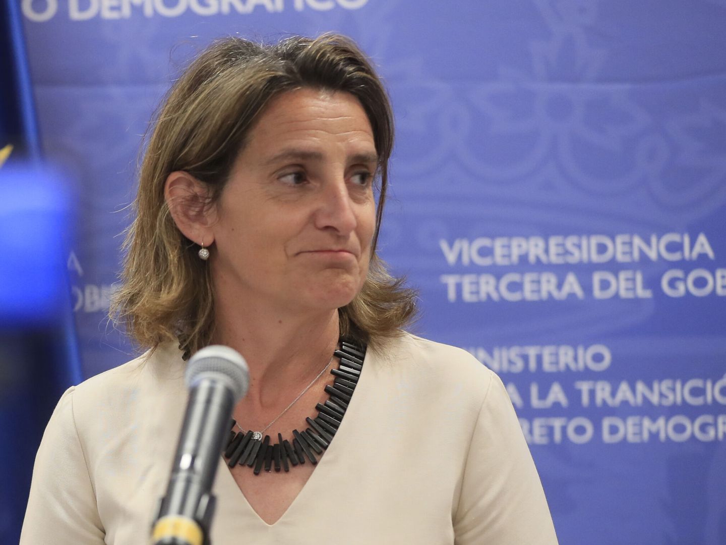 La vicepresidenta tercera del Gobierno y ministra para la Transición Ecológica y el Reto Demográfico, Teresa Ribera. (EFE/Fernando Alvarado)