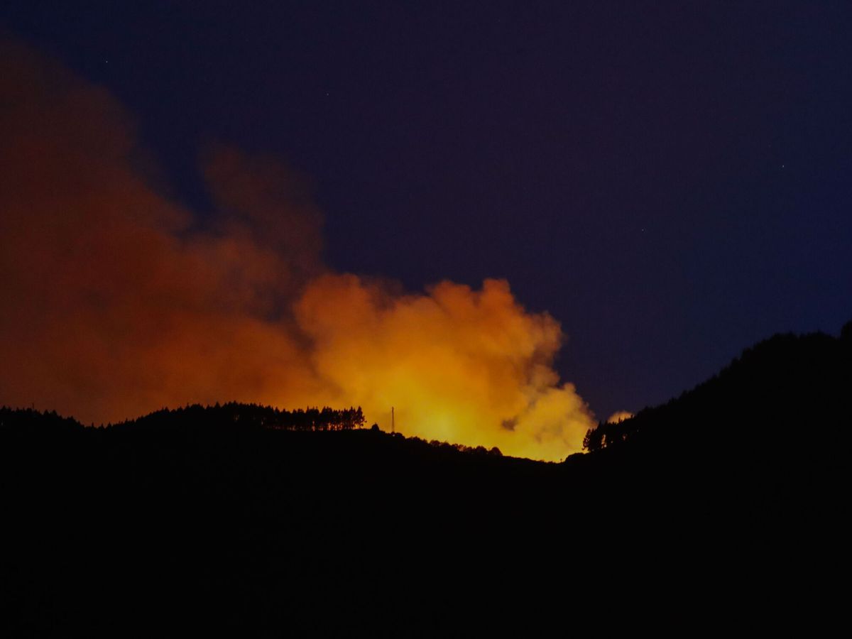 Foto: Incendio en la cumbre de Gran Canaria. (EFE/Elvira Urquijo)