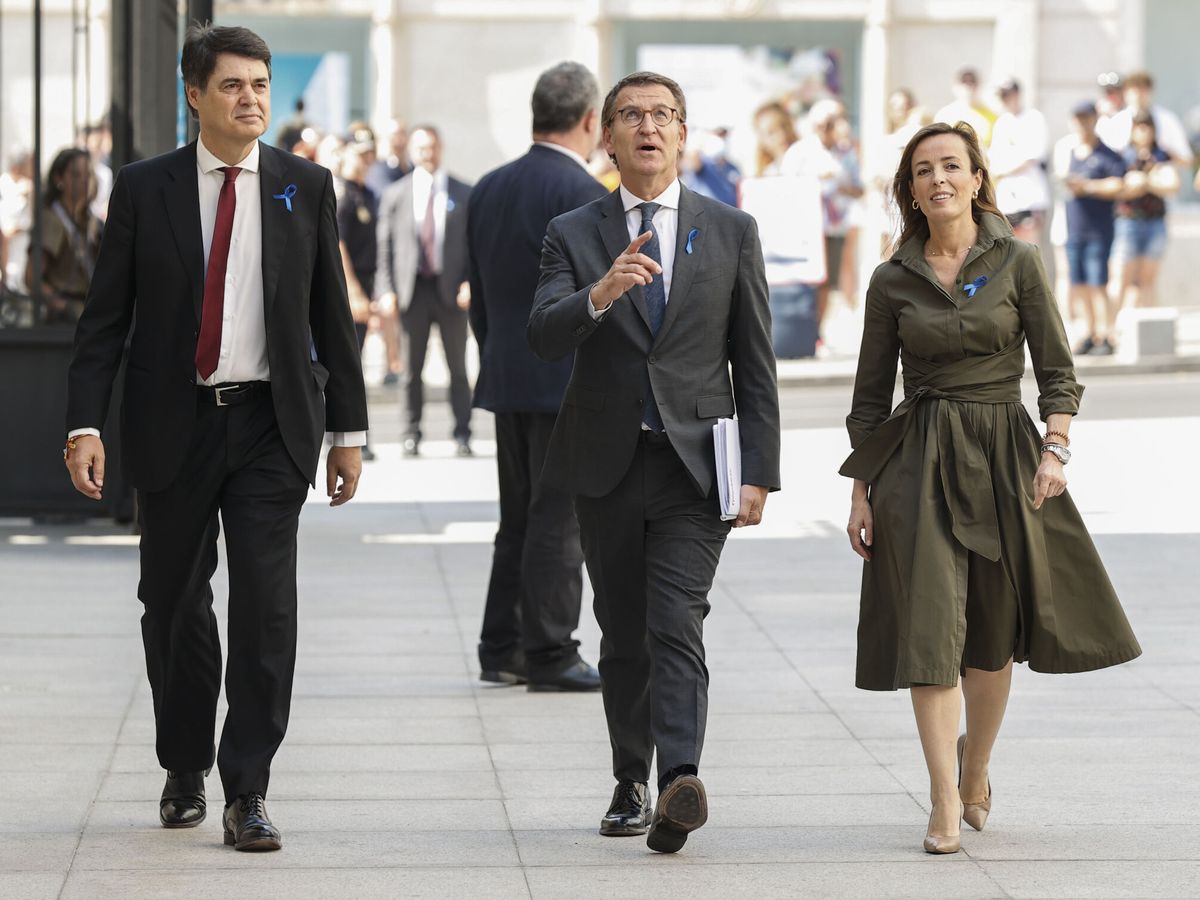 Foto: El líder del PP, Alberto Núñez Feijóo (c), a su llegada al Congreso con el lazo azul. (EFE/Chema Moya)