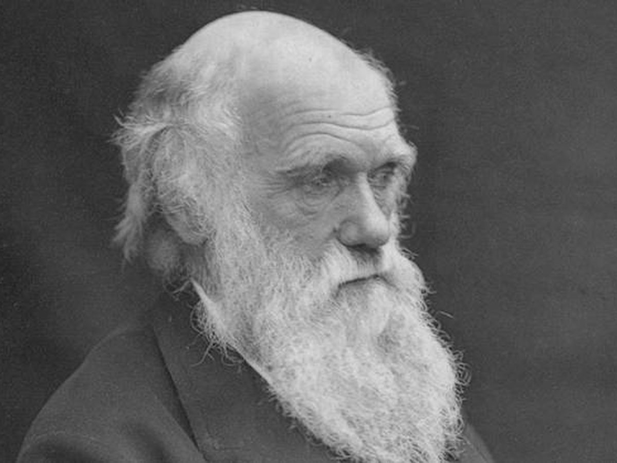 Foto: El "abominable misterio" de Darwin. (Leonard Darwin)