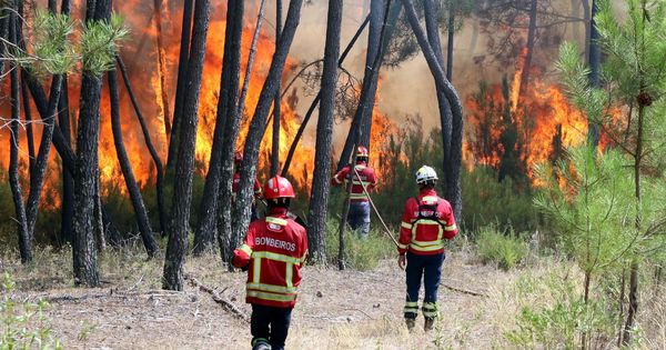 Foto: Incendio en Macao (Portugal). (EFE)
