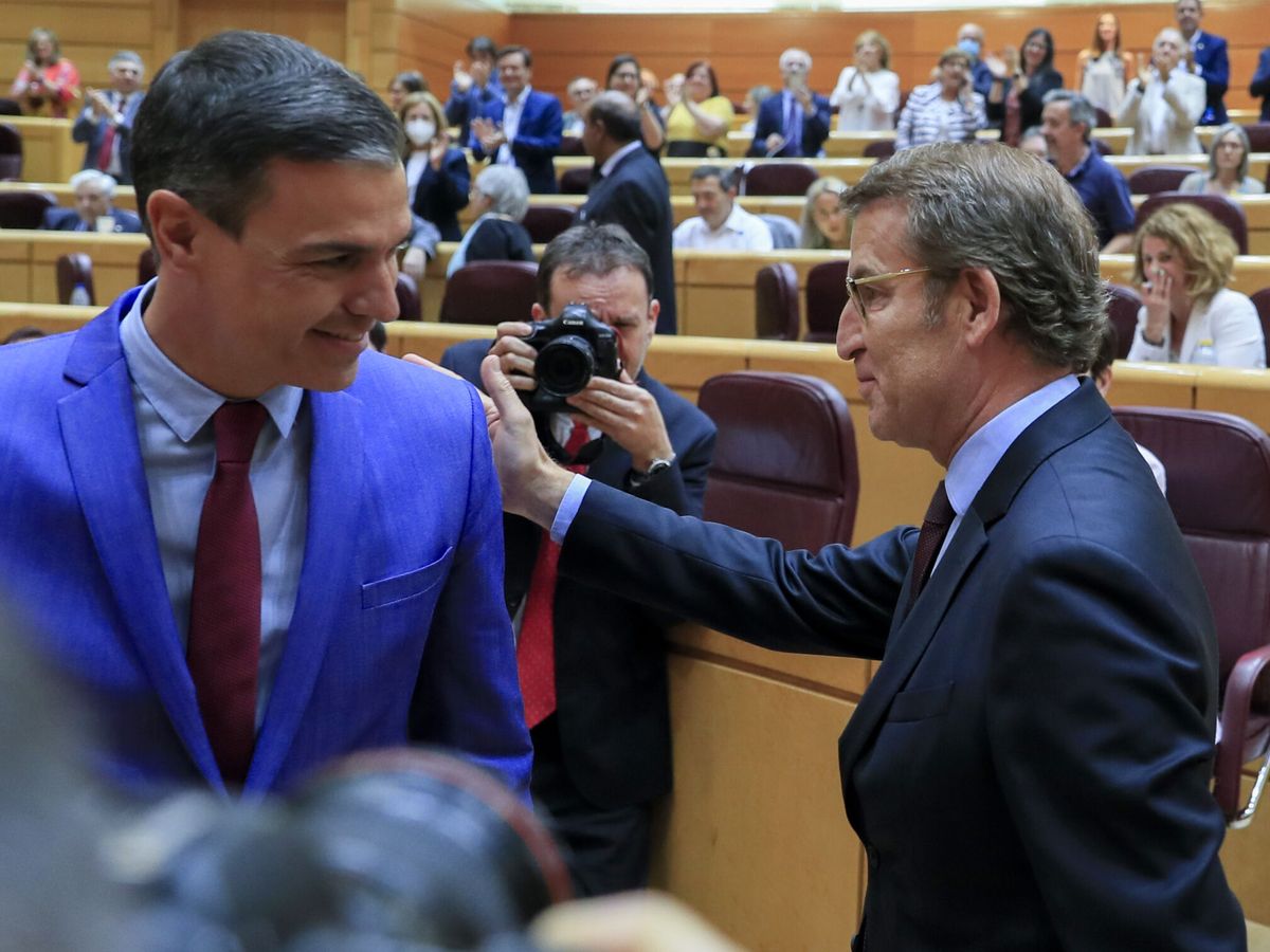Foto: Pedro Sánchez (i) y Alberto Núñez Feijóo, en una sesión de control en el Senado. (EFE/Fernando Alvarado)