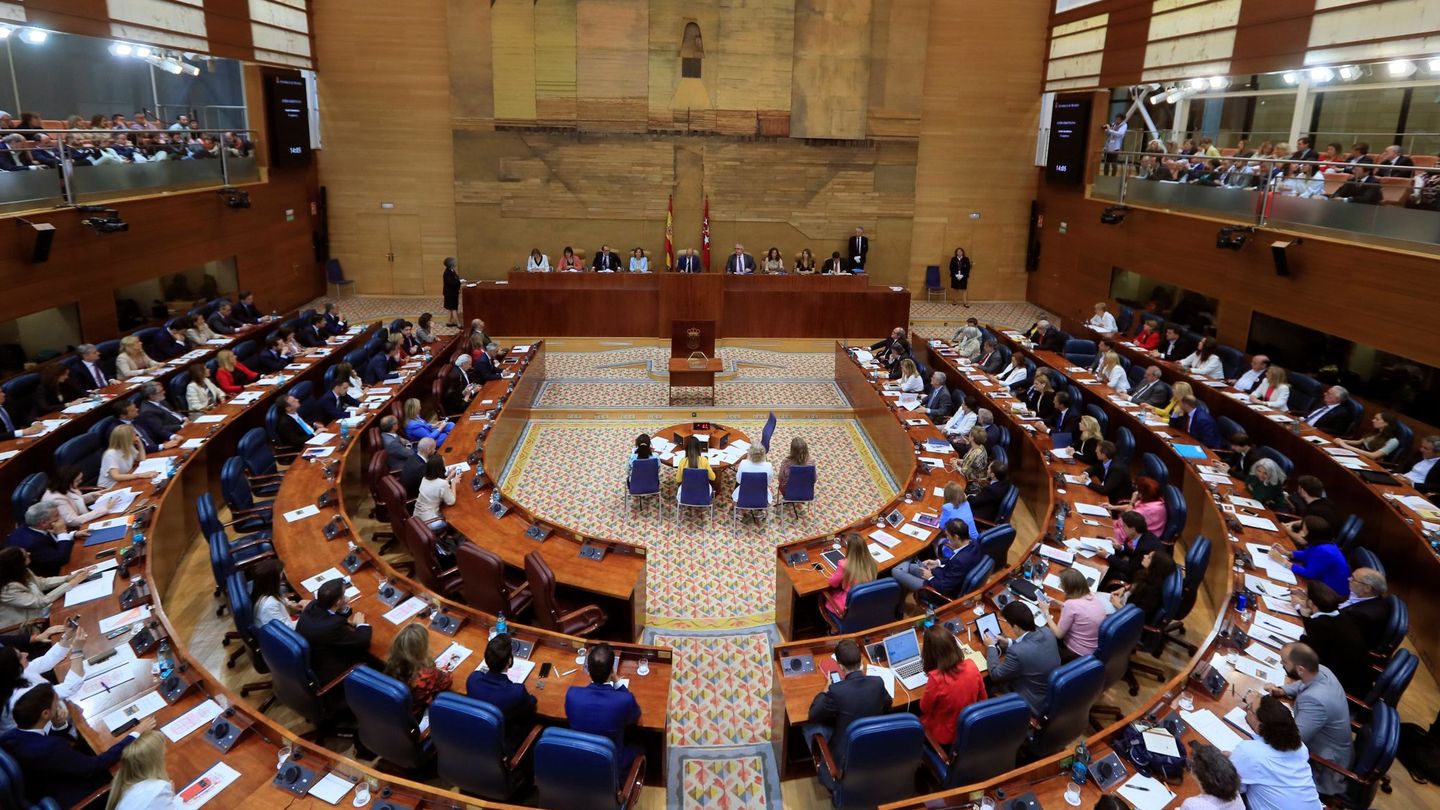 Vista general de la Asamblea de Madrid. (EFE)
