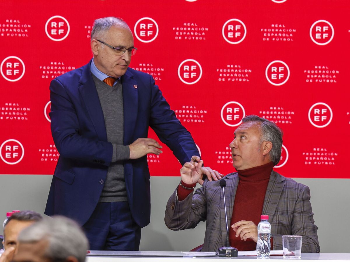 Foto: Andreu Camps y Medina Cantalejo en rueda de prensa. (EFE/J. J. Guillén)
