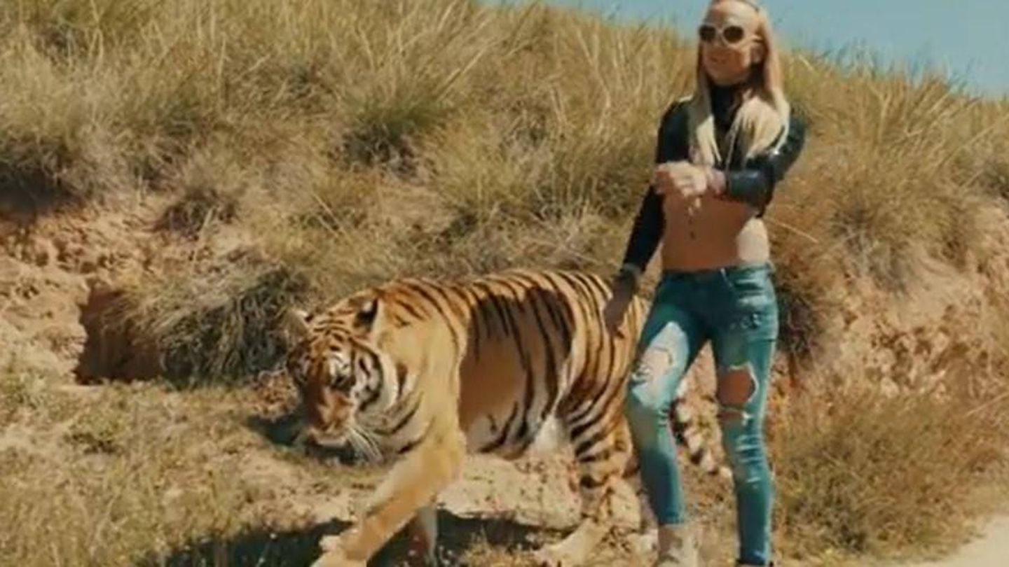 Alex Gibaja con una tigresa en su videoclip. 