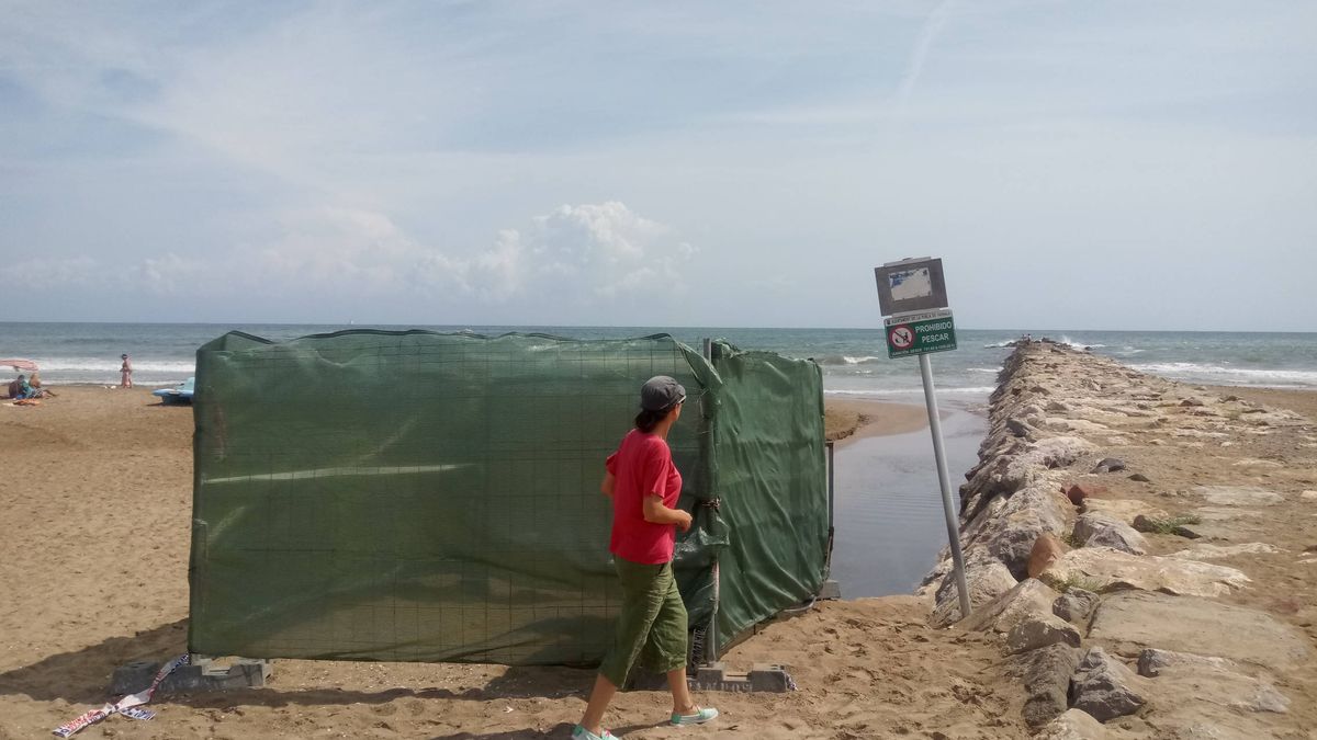 La picaresca valenciana: bombeaban cloro en las playas para ocultar la contaminación fecal
