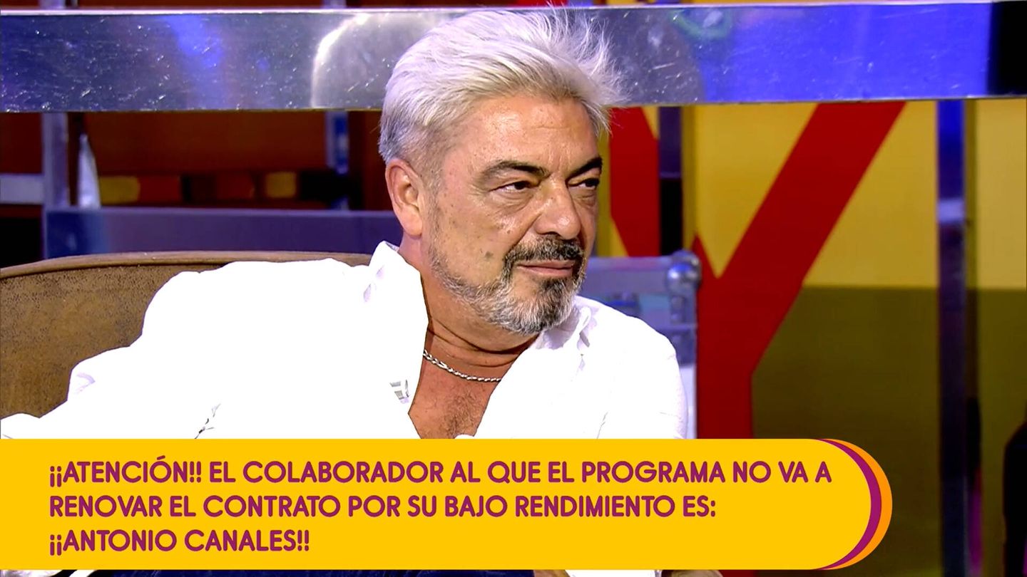 Antonio Canales, en 'Sálvame'. (Mediaset)