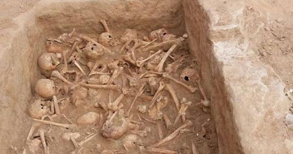 Foto: Imagen de los cráneos encontrados en la Sociedad Cervantina (CdM)