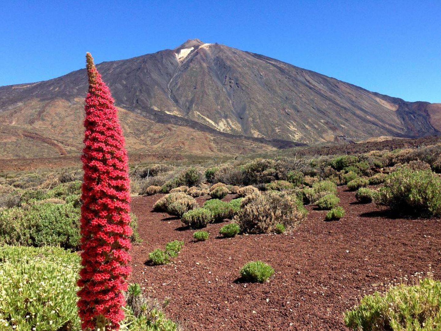 Parque Nacional del Teide, en Tenerife. (Jose Luis Gallego)