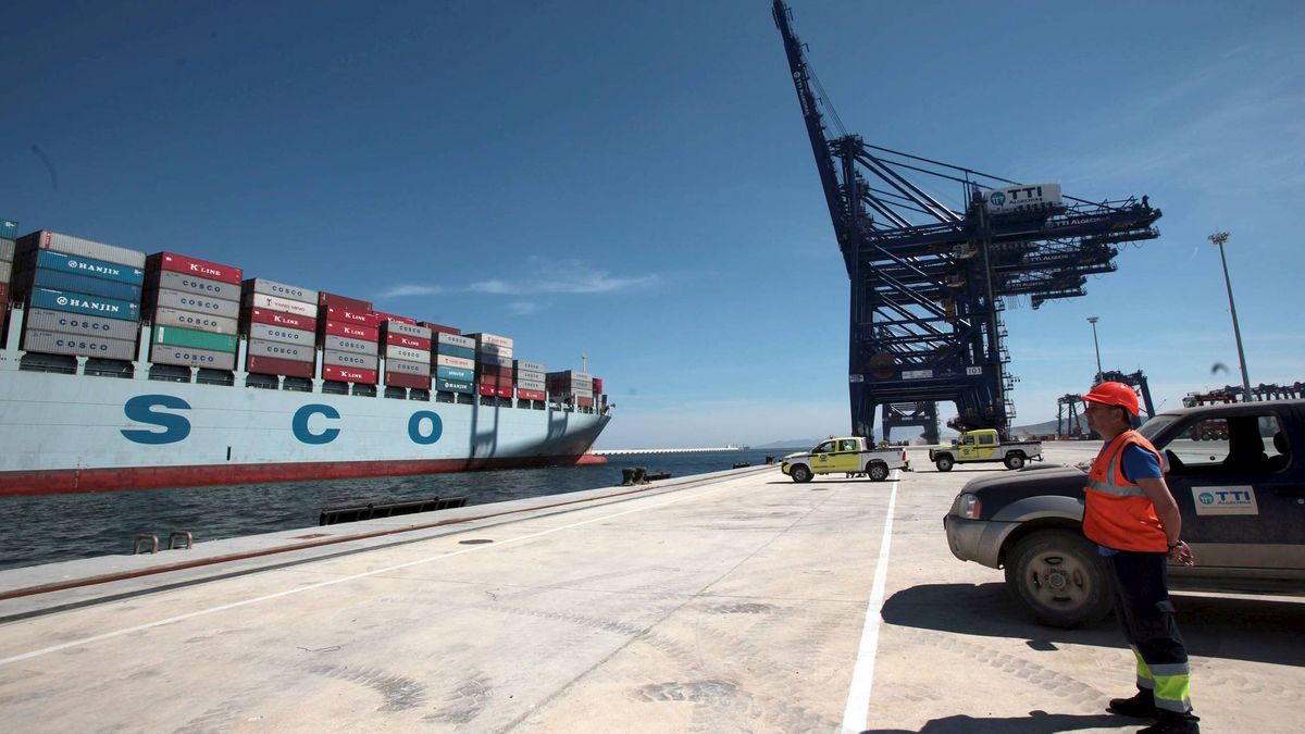 Qué son los estibadores y qué hacen: carga y descarga de buques en puertos