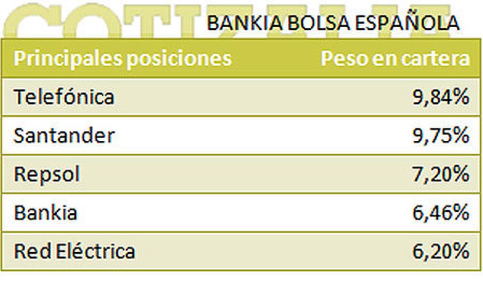 Principales posiciones del fondo Bankia Bolsa Española