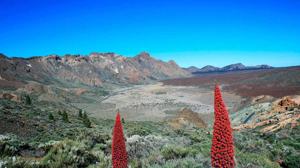 Detectan un enjambre de seísmos de baja magnitud en El Teide: cuál es el origen de los sismos y qué suponen