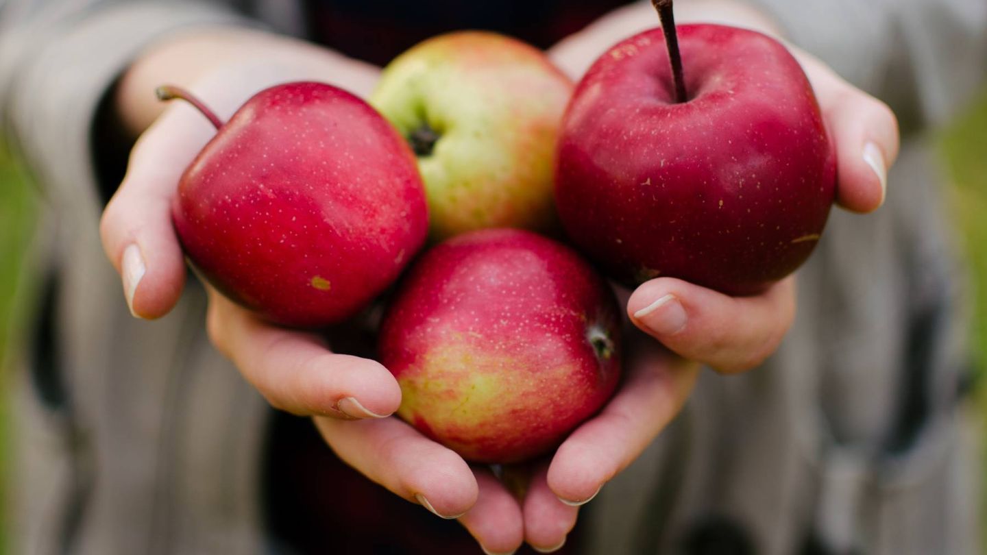 Puedes añadir manzana para endulzar tus platos. (Aarón Blanco Tejedor para Unsplash)