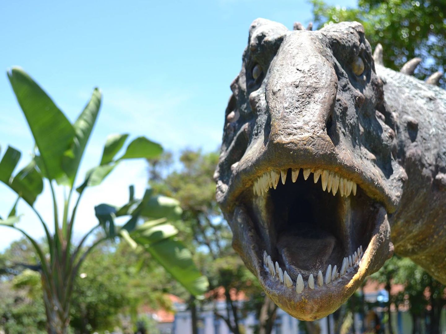 Representación de un dinosaurio. Foto: Pixabay