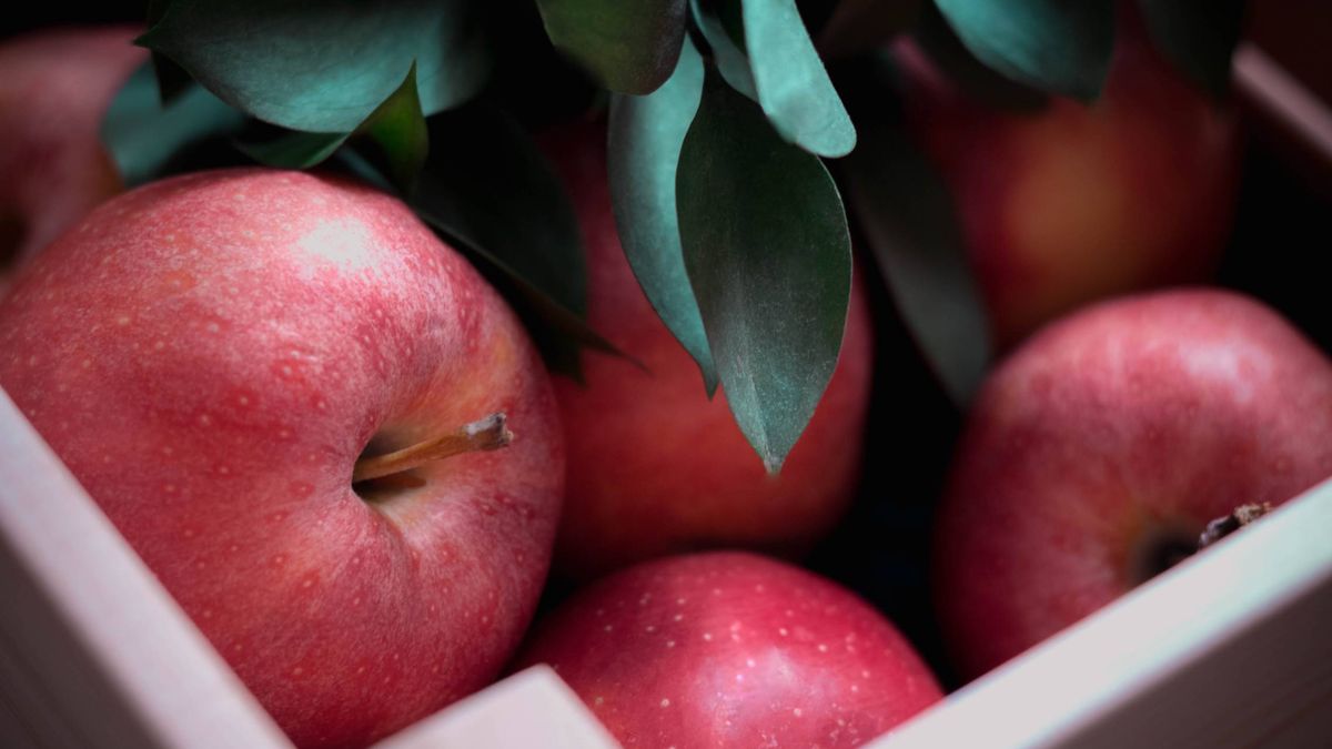 Comer las manzanas con piel puede ayudarte a adelgazar y te contamos por qué