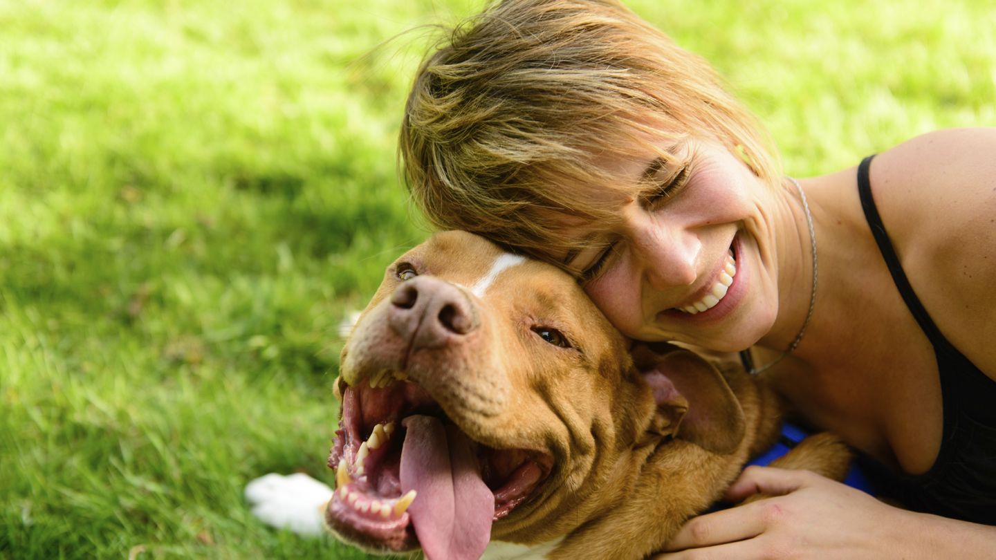 El beneficio de convivir con perros (iStock)