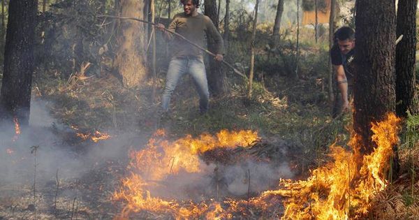 Foto: Desactivado el incendio forestal en Rianxo, A Coruña (Efe)