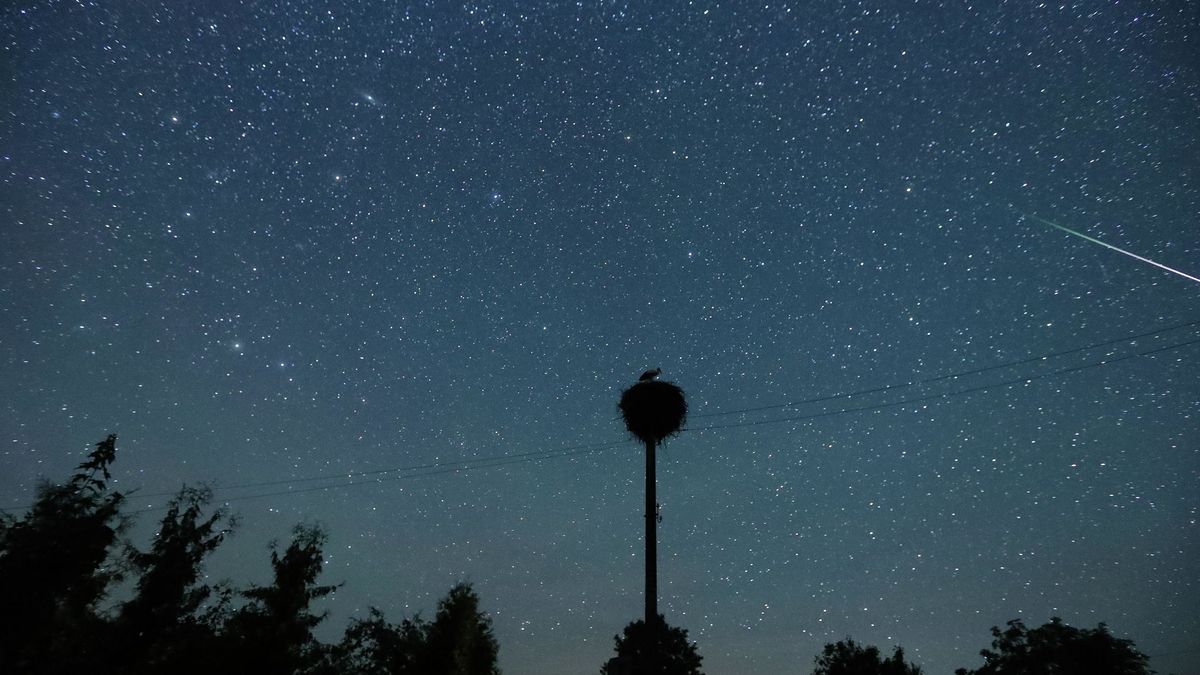 Perseidas 2020: las mejores noches para ver el máximo de la lluvia de estrellas 