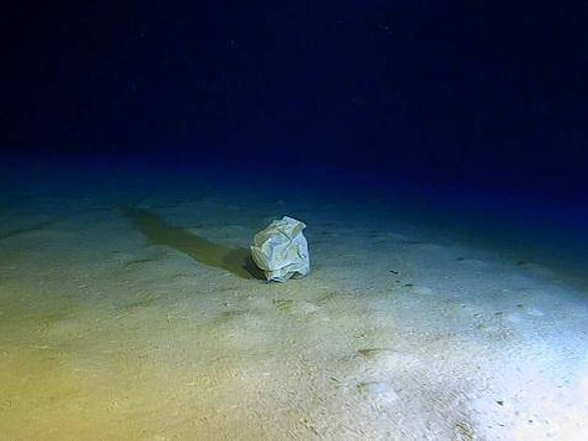 Foto: Una bolsa de plástico, en la fosa de Calipso, el punto más profundo del Mediterráneo. (Caladan Oceanic)