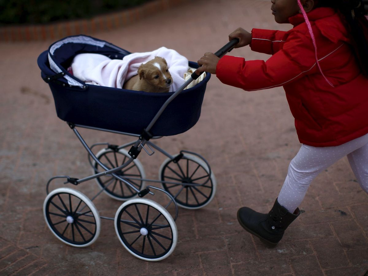 Foto: Una niña pasea un perro en un carrito de bebé en Benalmádena (Málaga). (Reuters/Jon Nazca)
